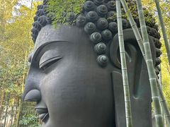 -杭州植物园