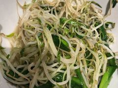 -壹盏灯(惠农店)