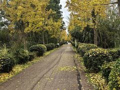 -白鹭湾湿地公园