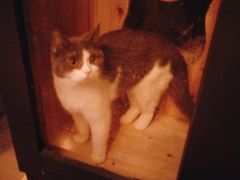 -TAIWAN·潭子茶屋