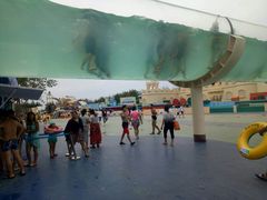 -秦皇岛乐岛海洋王国