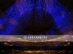 银星皇冠假日 (3)-上海中谷小南国花园酒店