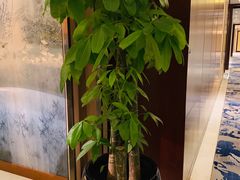 -一品淮扬 · 淮扬菜·北京万达文华酒店