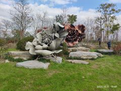 -上海海湾国家森林公园