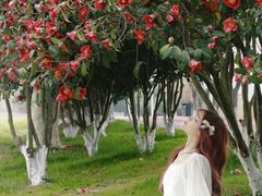 -艾溪湖湿地公园