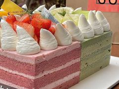 -卡吉诺动物奶油生日蛋糕(中原路店)