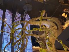 -桂满陇·海市蜃楼·黑金(国金店)