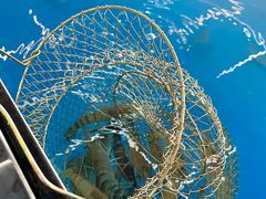 -SHRIMP CLUB万东餐饮钓虾·清吧