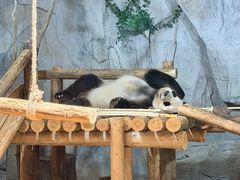 -深圳野生动物园