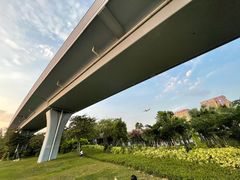 -宝安西湾红树林湿地公园