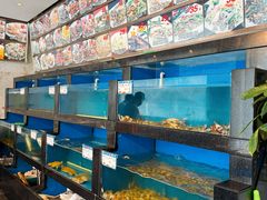 -华盛丰温州大排档(东三环南路店)