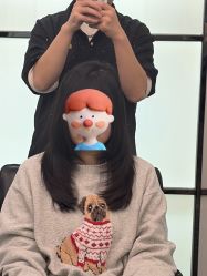 -YESIDO椰岛造型