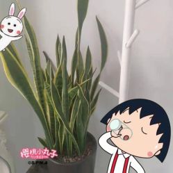 -YooMee优美智能科技美肤机构