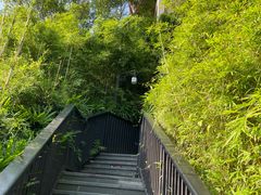 -广州都喜泰丽温泉度假酒店