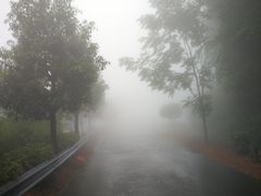 -东天目山风景区