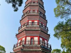 -顺峰山公园