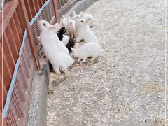 -秦皇岛新澳海底世界