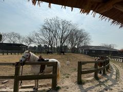 -苏州太湖西山岛开心农场