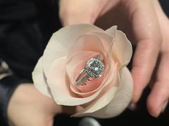 -石葵(锦业时代店)