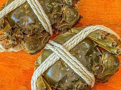 -阳澄湖大闸蟹·琼灵阁牌品牌连锁(吴中总店)