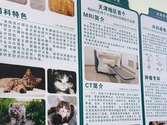 -乖乖宠物医院·猫科·急重症中心(车站北路分院)