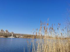 -马家湾湿地公园