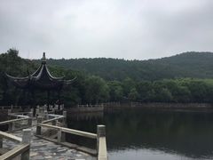 -旺山景区