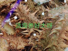 -老虎滩船说·海胆水饺·大连海鲜(老虎滩店)