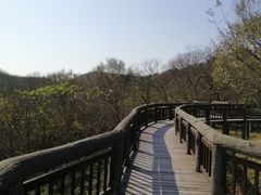 -南京市江宁方山