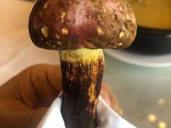 -锦腾轩滇味餐厅