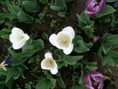 -长春公园(普阳街道)