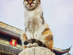 -西园戒幢律寺