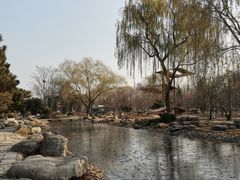 -石家庄市植物园