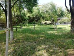 景点-朱家角课植园