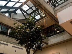 大堂-大树餐厅(红旗街万达店)