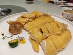 -千灯盛汇·头牌粤菜(致越优城店)