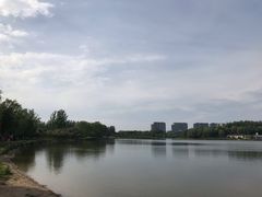 -大兴滨河森林公园