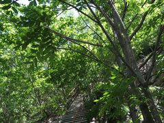 -丹东天桥沟景区