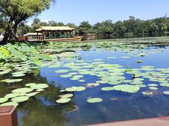 -承德避暑山庄景区