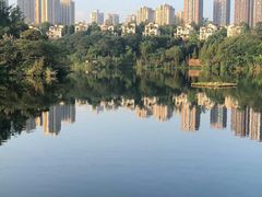 -重庆彩云湖湿地公园