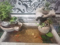 -川西坝子(苏州城市生活广场店)