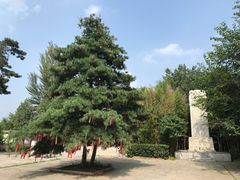 景点御笔石碑-三义宫