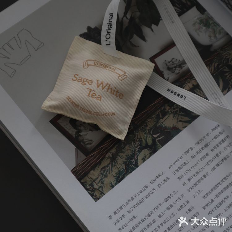 让人回到简单生活的白茶香氛是新房客