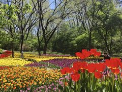 -沈阳植物园