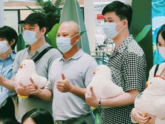 -润园四季椰子鸡火锅(南山海岸城店)