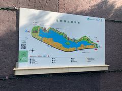 -华侨城湿地公园