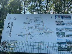 -中国扬子鳄村