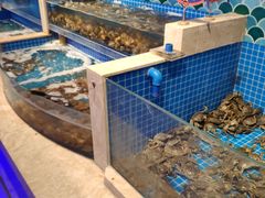 水产区-乔哥铭洋海鲜自助(皇城恒隆广场店)