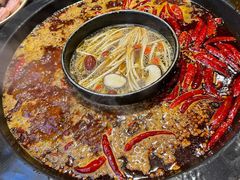 -蜀大侠火锅(建设路第五大道店)