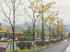 -同人紫荆文体中心·游泳馆(紫荆大厦店)